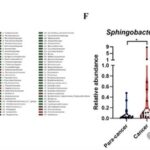 Literature Sharing | S. multivorum in Tumors Promotes Progression of Triple-Negative Breast Cancer by Suppressing Tumor Immuno-surveillance