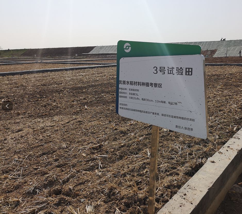 Can Smart Agriculture Help Achieve High Yields of Saline-Alkali Resistant Rice?