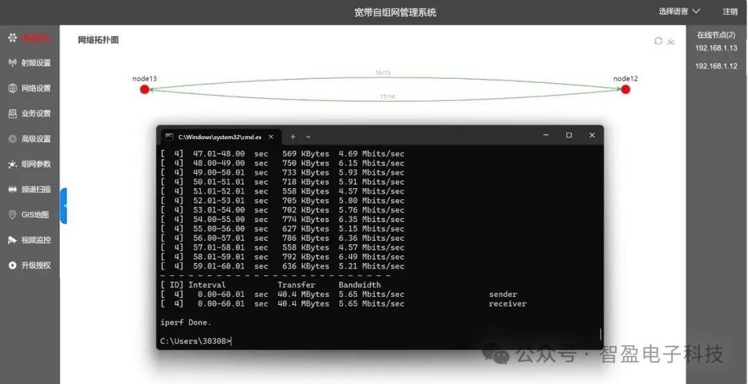 T3C1-4W-1400 Handheld Broadband Self-Organizing Network Radio Line-of-Sight Test at 90km