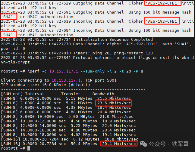 Performance Comparison of AES and SM4 Encryption Algorithms Using OpenVPN: National Secret Algorithm Doesn't Seem So Bad