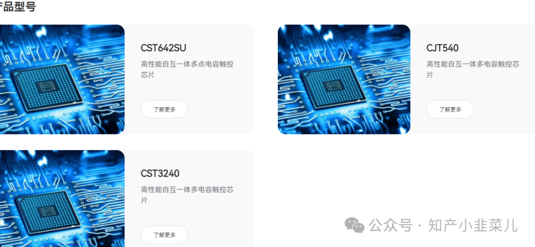 Customized Chip Design Across Industry Sectors!
