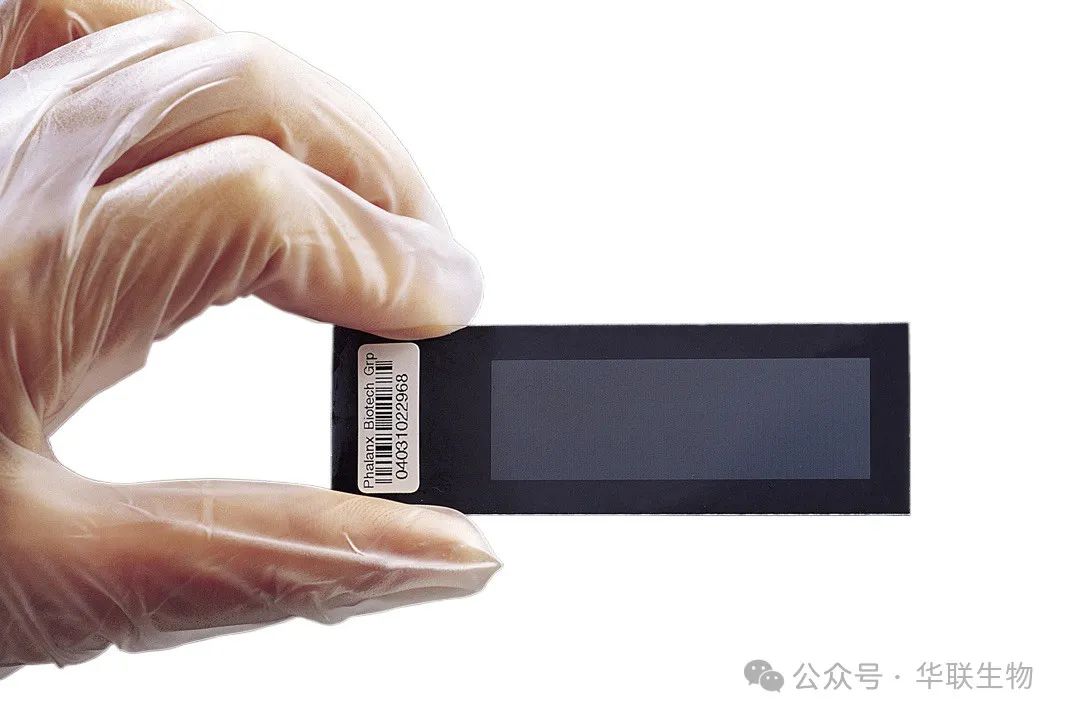 Precision Health Check - Gene Chip Screening Methods for Cancer and Chronic Diseases