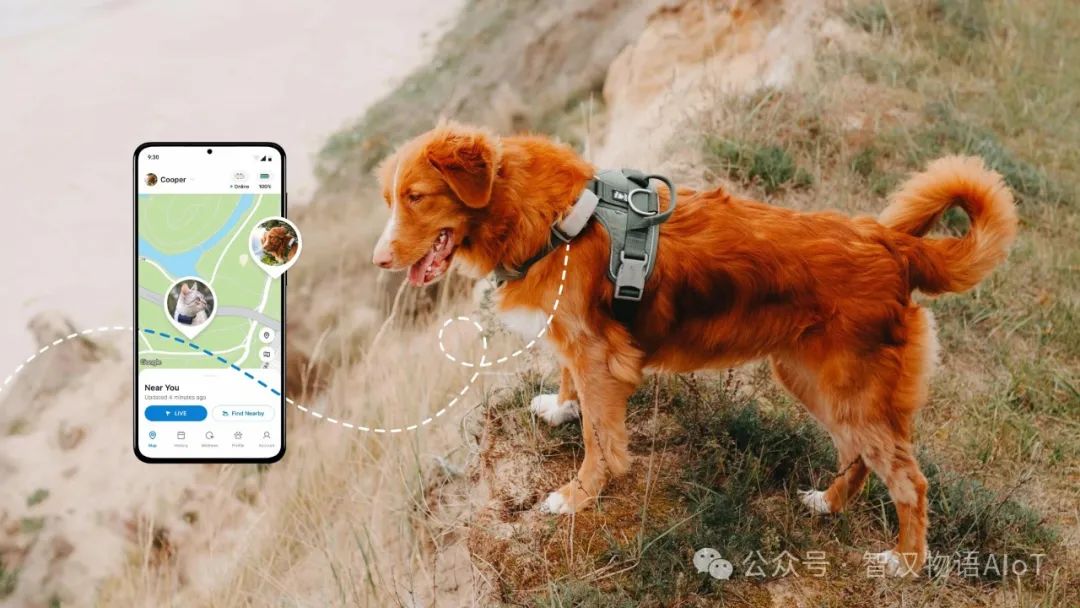 Smart Pet Tracker Solution Based on Bluetooth BLE Technology