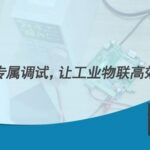 Customer Service | Dedicated Debugging for LoRa Networking, Enabling Efficient Industrial IoT Implementation