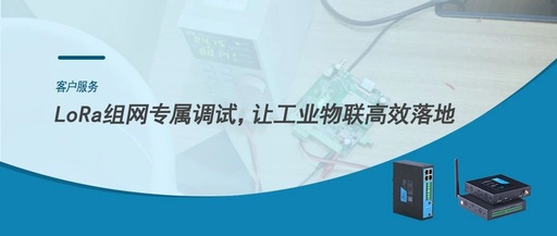 Customer Service | Dedicated Debugging for LoRa Networking, Enabling Efficient Industrial IoT Implementation
