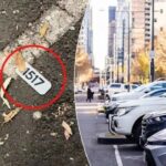 Sydney Council Installs Numbered Sensors: A New 'Trap' for Parking Violations