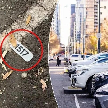 Sydney Council Installs Numbered Sensors: A New 'Trap' for Parking Violations