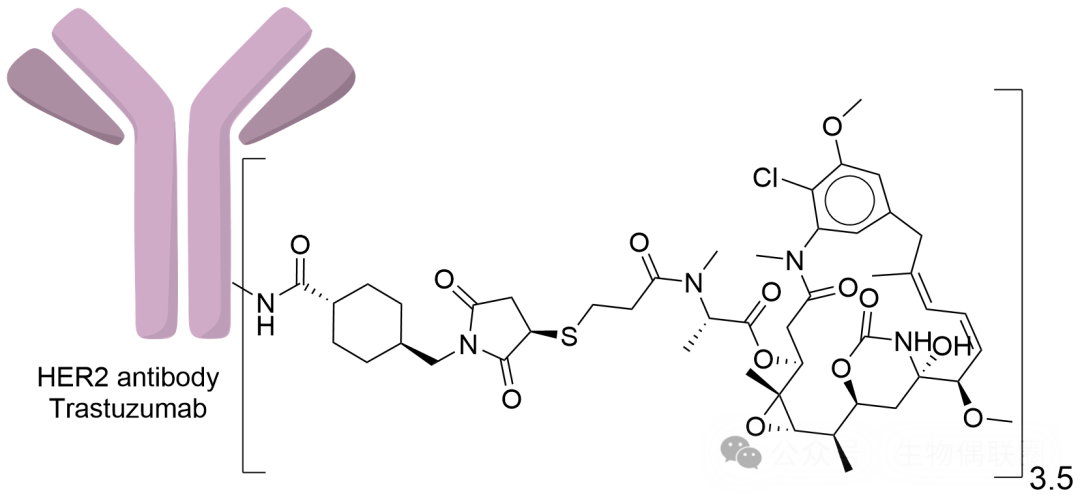 Summary of ADC Drugs Coupled with Lysine Approved Worldwide
