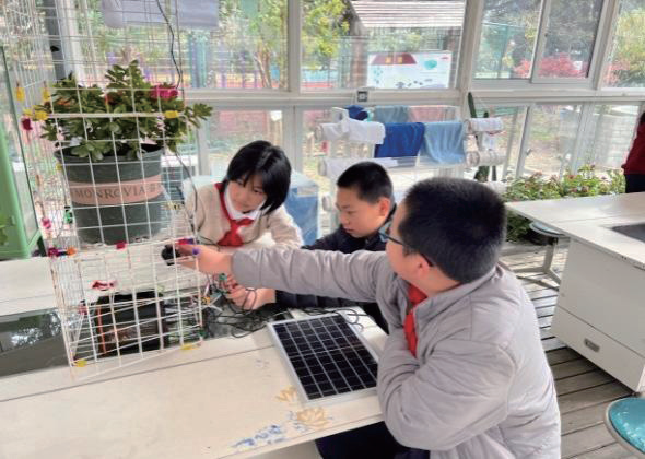 Interdisciplinary Project-Based Learning Activities Based on Ecological Practice Bases and Virtual Learning Spaces