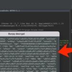 Practical Use of Burpy Plugin - Cracking the Encryption Algorithm of a WeChat Mini Program