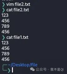 Exploring Linux: The Secrets of File and Link Operations