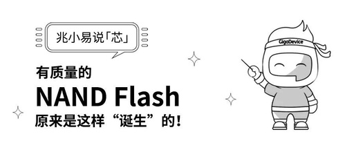 Zhaoxiao Yi Discusses 'Core' | The Quality of NAND Flash: How It Is 'Born'