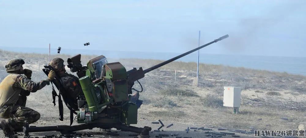Modernization Upgrade of the French Army's PROTEUS Anti-Drone System with a 20mm Anti-Aircraft Gun