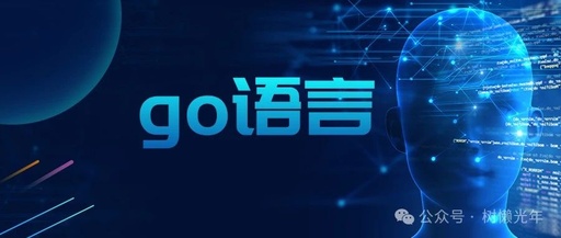Protecting Sensitive Information in Go: A Performance Comparison of Go Encryption Algorithms with Hardware Acceleration