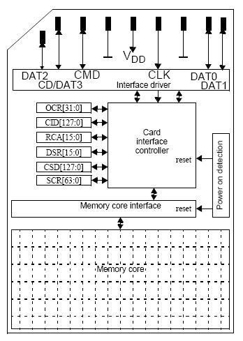 SD Card? TF Card? Can't Tell Them Apart?