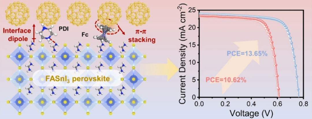 Latest ACS from Wang Hongqiang's Team: Synergistic Interfacial Dipole and π-Conjugation Effects Enhance Efficiency of Tin-Based Perovskite Solar Cells