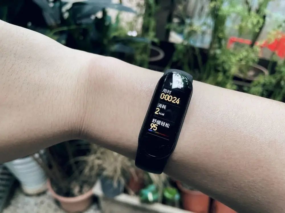 Choosing Between Smartwatches and Fitness Bands: 3000 Yuan or 300 Yuan?