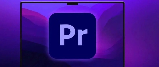 Is Your Timeline Cluttered Like a Circuit Board? Use This Hidden View in PR to Clean It Up Instantly
