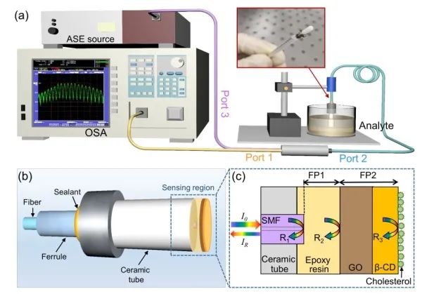 Advancements in Research on Surface-Functionalized Optical Fiber Sensors