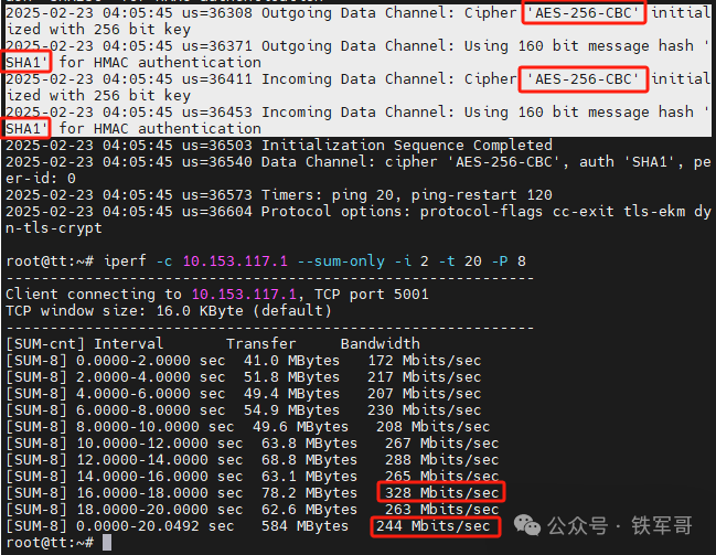Performance Comparison of AES and SM4 Encryption Algorithms Using OpenVPN: National Secret Algorithm Doesn't Seem So Bad