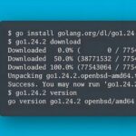 Go 1.24.2 Released: Major Security Vulnerability Fix in net/http - Is Your Service Safe?