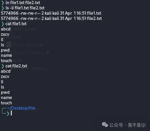 Exploring Linux: The Secrets of File and Link Operations