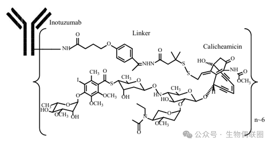 Summary of ADC Drugs Coupled with Lysine Approved Worldwide