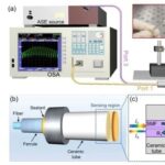 Advancements in Research on Surface-Functionalized Optical Fiber Sensors