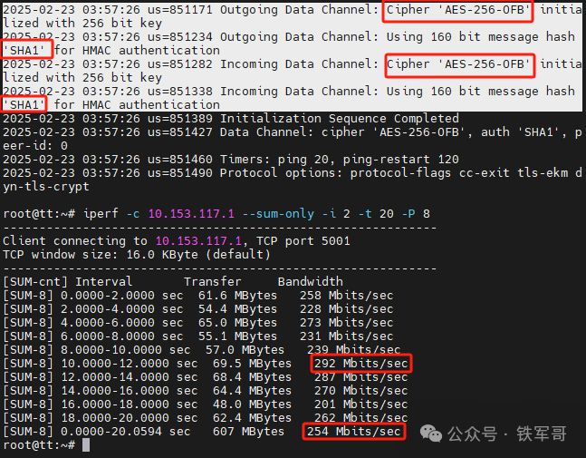 Performance Comparison of AES and SM4 Encryption Algorithms Using OpenVPN: National Secret Algorithm Doesn't Seem So Bad
