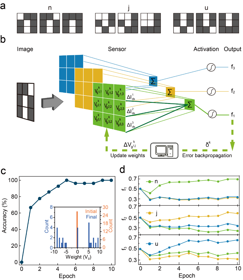 Building Brain-like Visual Sensors with Atomic LEGO