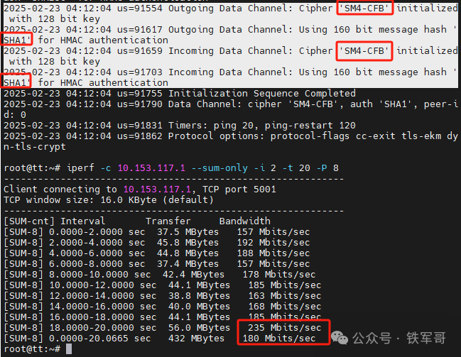 Performance Comparison of AES and SM4 Encryption Algorithms Using OpenVPN: National Secret Algorithm Doesn't Seem So Bad