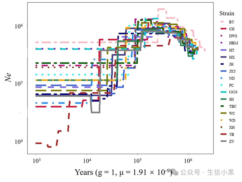 Population History Inference Using SMC++