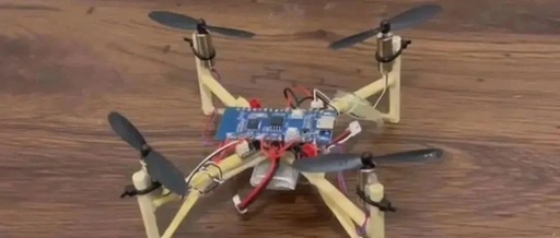 Post-95s Young Man Creates Affordable Drone Using Chopsticks!