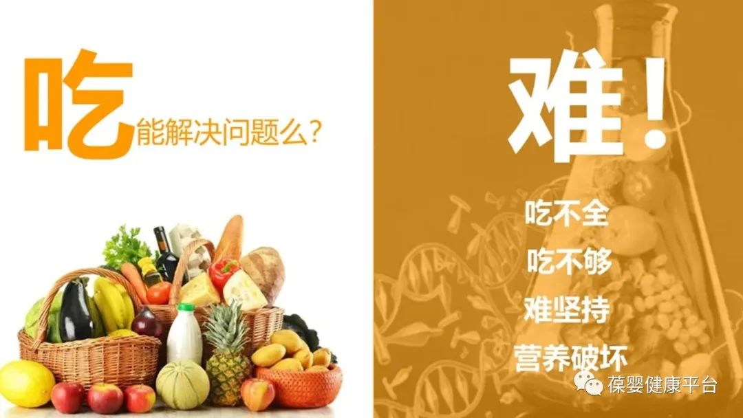 Physiological Functions and Metabolism of Vitamin C
