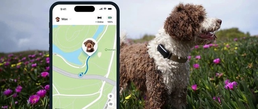 Smart Pet Tracker Solution Based on Bluetooth BLE Technology