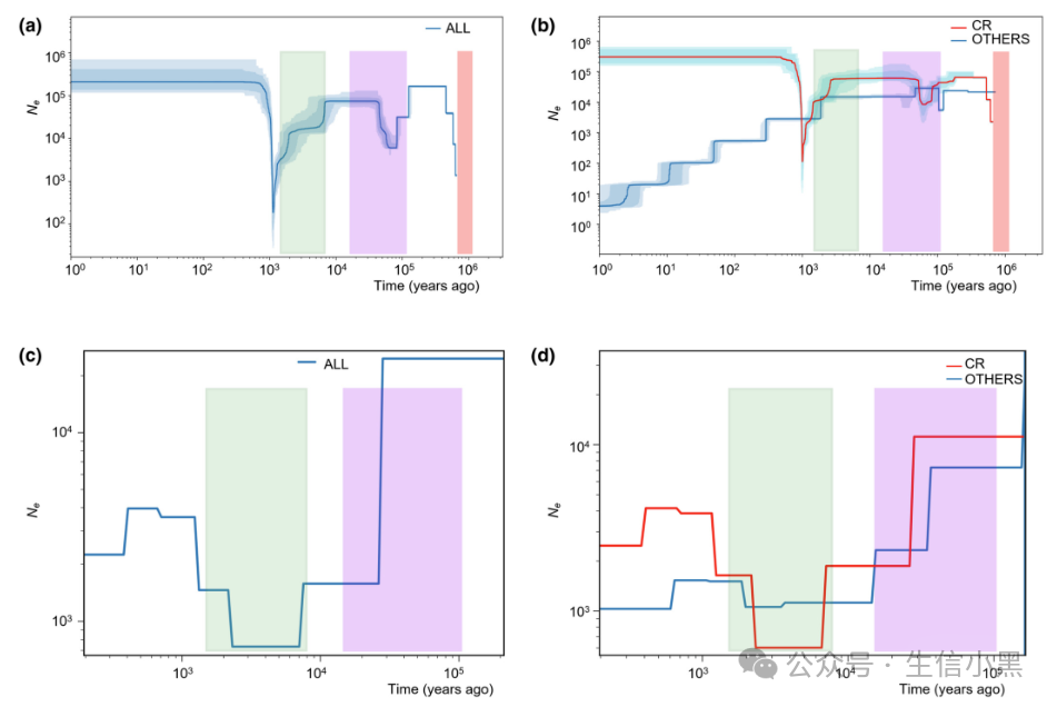 Population History Inference Using SMC++