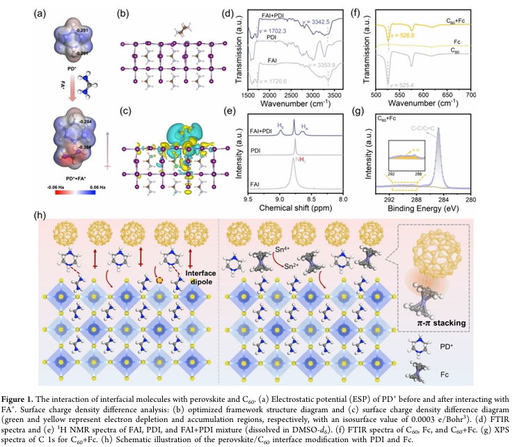 Latest ACS from Wang Hongqiang's Team: Synergistic Interfacial Dipole and π-Conjugation Effects Enhance Efficiency of Tin-Based Perovskite Solar Cells