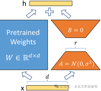 Essential Tips for LoRA Fine-Tuning