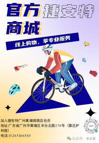 Giant ZOOM MIPS Cycling Helmet