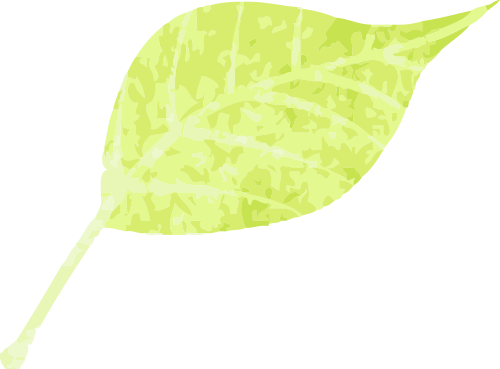 Interdisciplinary Project-Based Learning Activities Based on Ecological Practice Bases and Virtual Learning Spaces