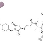 Summary of ADC Drugs Coupled with Lysine Approved Worldwide