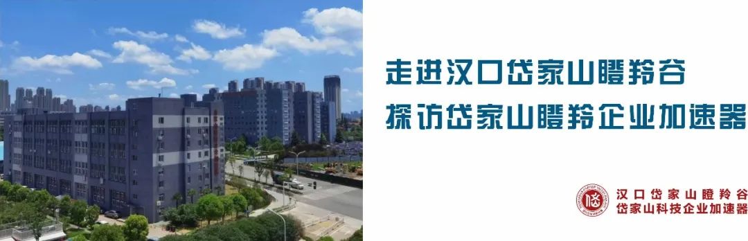 Compilation of Achievements from Wuhan University of Science and Technology (1)