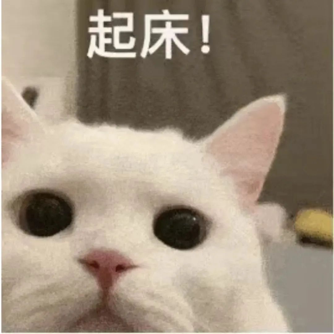 Emojis: I Really Need to Train You Well