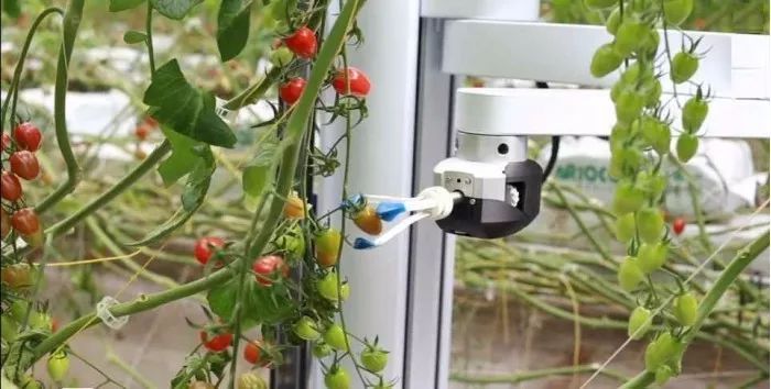 IoT News for May 21, 2019 (Audio Version)