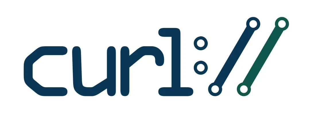 Comprehensive Interpretation of the C Language Code Standards by the curl Team