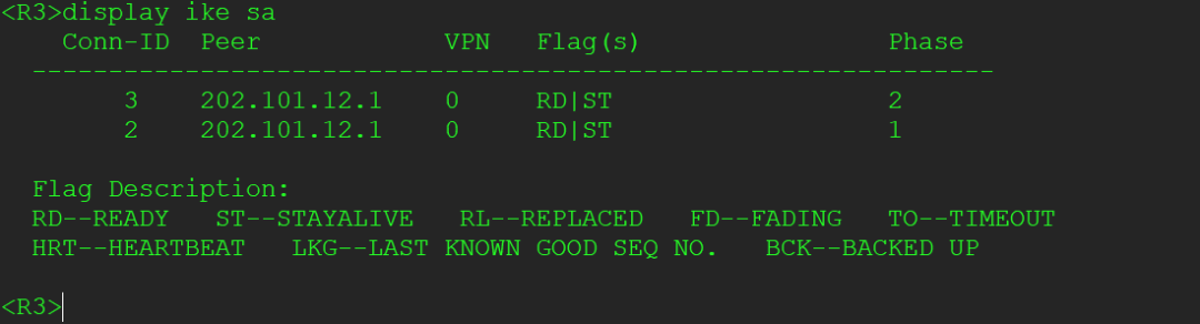 Ultimate Guide to Huawei IPSec Dynamic Address Networking: Barbaric Mode + Policy Template Configuration (Includes Complete CLI) - 5 Steps to Secure Dynamic Address Access Site Communication!