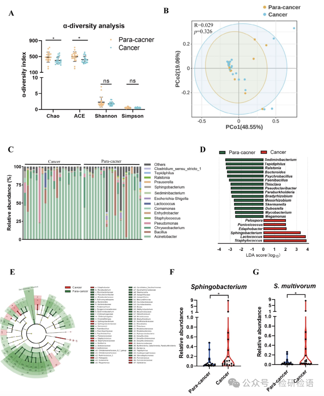 Literature Sharing | S. multivorum in Tumors Promotes Progression of Triple-Negative Breast Cancer by Suppressing Tumor Immuno-surveillance
