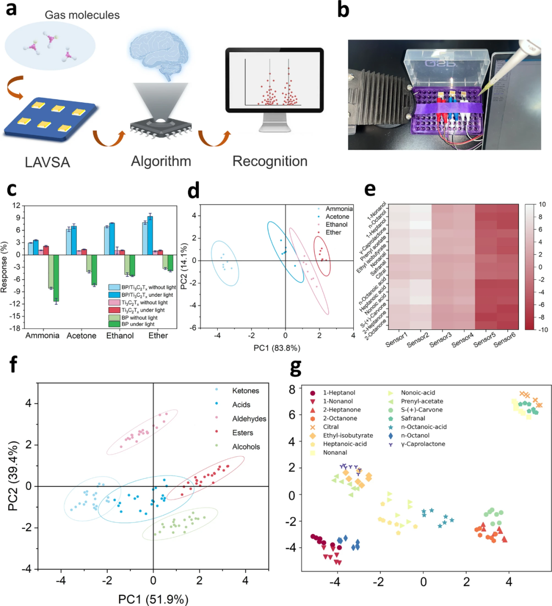 Light-Activated Virtual Sensor Array with Machine Learning for Non-Invasive Diagnosis of Coronary Heart Disease