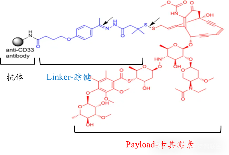 Summary of ADC Drugs Coupled with Lysine Approved Worldwide