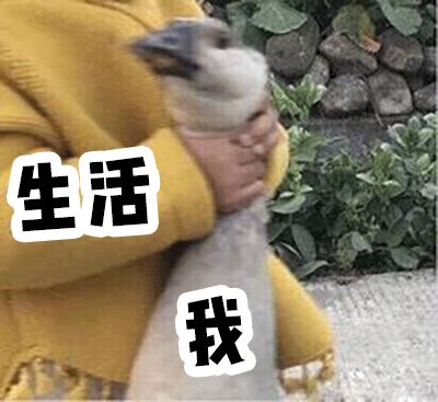 Meng Meiqi Helps Me with Girl Group C Position Makeup, Resulting in Her Laughing Until Cramping?